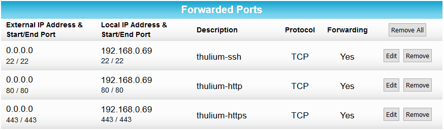 Forwarded ports set up on an Arris router